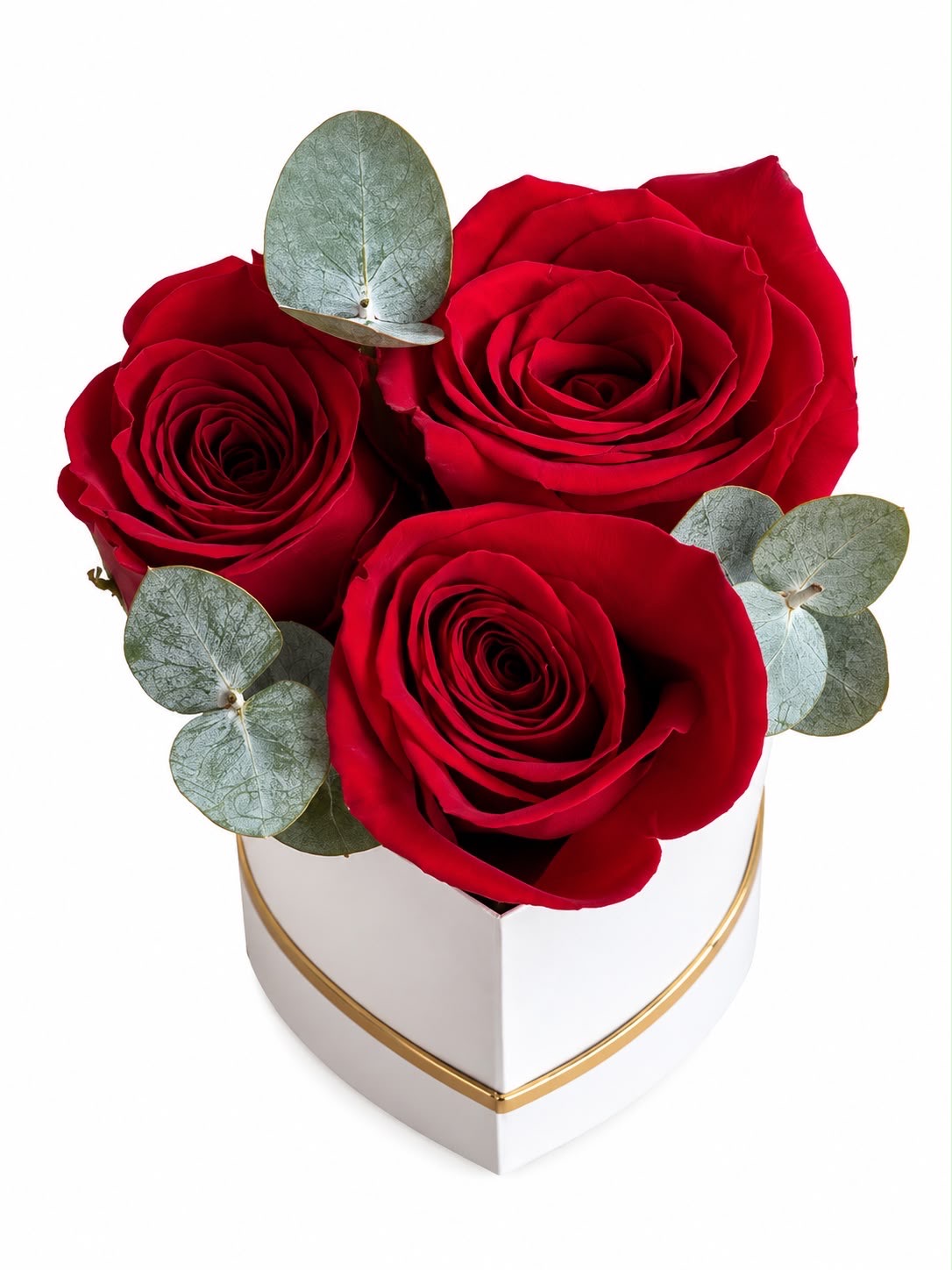 Rose 3